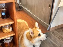 -肥朵食堂(带梦胡同店)