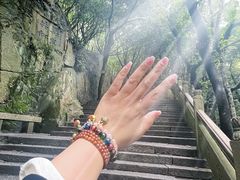 -普陀山风景区-佛顶山