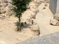 -太原动物园
