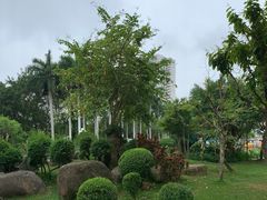 -荔枝公园(福田区)