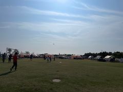 -春花秋色城市公园