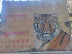 -昆明动物园