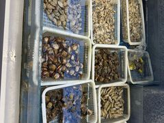 -赶海部落海鲜城(海阳路店)