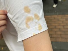 -顺德公广东猪肚鸡·煲仔饭(白石洲店)