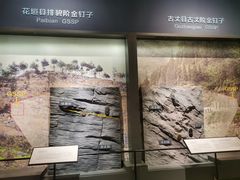 -湖南省地质博物馆