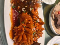 -同济大酒店(绿宝广场店)