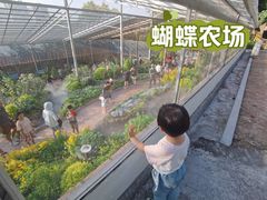 -青青世界