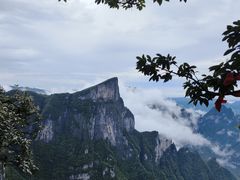 -张家界天门山国家森林公园