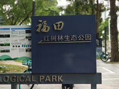 -福田红树林生态公园