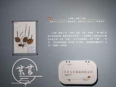 -中国湿地博物馆