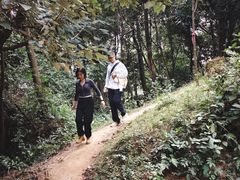 -广州市帽峰山景区