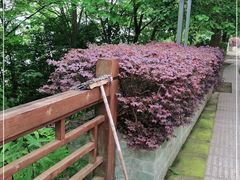 -仙海旅游度假区