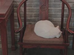 -一盃山水咖啡茶馆