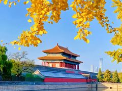 -香山公园