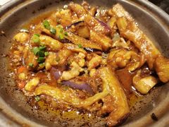 -新兴·金羊座·粤菜点心(乐峰店)