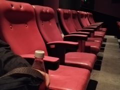 放映厅-中国科学技术馆影院