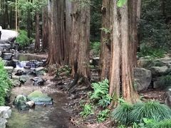 -拾溪餐厅·包厢(杭州千禧度假酒店)