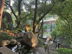 -巴倒烫陆派火锅山庄(南山总店)