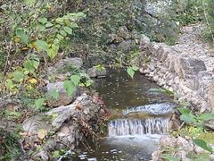 -静之湖度假区