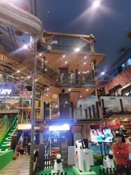 -卡通尼·Safari非洲探索乐园·生日会(金桥国际商业广场店)