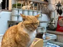 -Vanillacafe香草咖啡(银海大世界店)