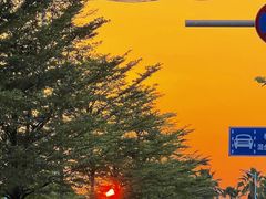 -北海金海湾红树林生态旅游区