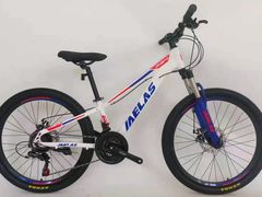 -道路口单车爱瓦士dahon大行