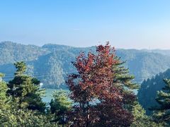 -四明山国家森林公园