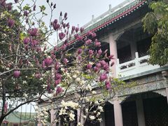 -广东圆玄道观