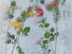 -长春公园(普阳街道)