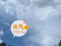 -将军关探险漂流