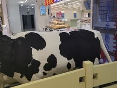 -红星前进面包牛奶公司(君太店)