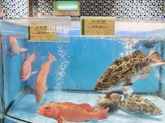 -city'super超·生活(国金中心商场店)
