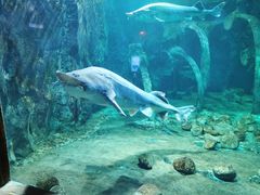 -华夏文旅海洋公园