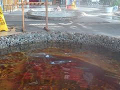 -红栌温泉山庄生态美食餐厅