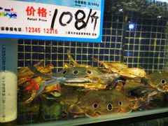 -庆余生平价生猛海鲜(海棠湾林旺夜市店)