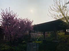 -大连金石滩绿发温泉假日酒店