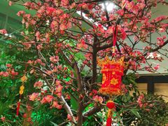 -双季花艺园艺市场(浦东店)