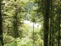 -黄龙山原始森林景区