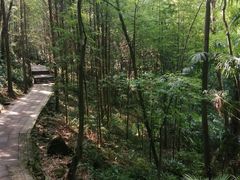-凤栖山