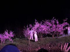 -常德桃花源景区