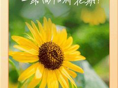 -西安市长乐公园