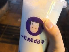 -一只酸奶牛(八一路店)
