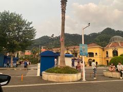 -重庆海昌加勒比海水世界
