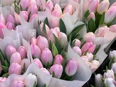 -循礼门鲜花花市(武汉循礼门店)