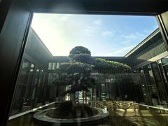 -上海崇明金茂凯悦酒店