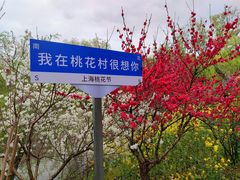 -南汇桃花村
