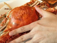 -高佳庄·舟山海鲜(海景旗舰店)