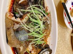 油泼深海清斑鱼-新希望诺富特酒店-青岛湾中餐厅