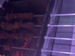 -丰茂烤串(全国首店)